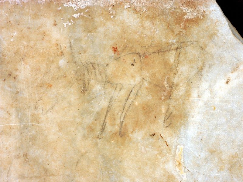 https://www.museovillatraiano.it/immagini_articoli/05-02-2021/1612515953-240-.JPG