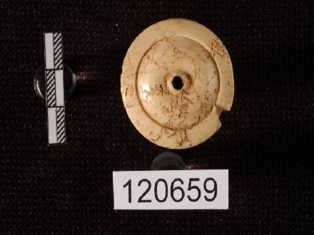 https://www.museovillatraiano.it/immagini_articoli/83/053-pisside-coperchio-17-330.jpg