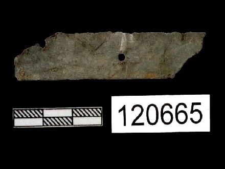 https://www.museovillatraiano.it/immagini_articoli/89/059-lamina-330.jpg